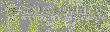 baumkunde_logo.gif