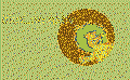 startseite-leo-klein.gif