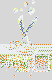 dbsaktuell.gif