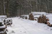 Winterlandschaft bei Butzbach