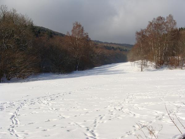 Winterlandschaft im Reichenbachtal