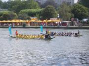 Drachenbootrennen in Frankfurt