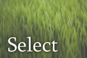 Select-Logo