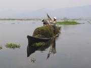 Schwimmende Gärten im Inle See