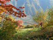 Wanderweg in der Umgebung von Meran