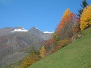 Wanderweg in der Umgebung von Meran