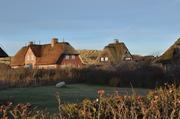 Sylt, Wenningstedt, Häuser mit Reetdach