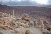 Teide Nationalpark - Las Cañadas 