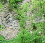 Wutachschlucht (13)