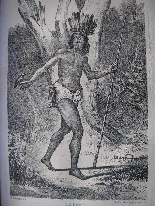 Zapara Indianer aus dem Amazonastiefland