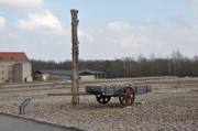 Fotos von einem Besuch in Buchenwald (3)